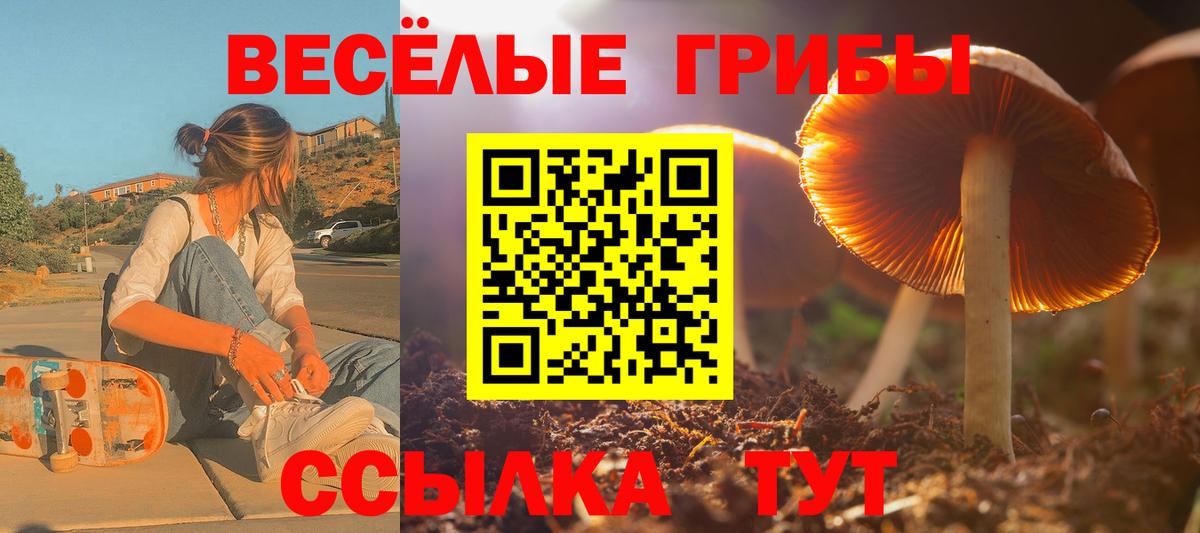Стрежевой  Галлюциногенные грибы Psilocybine cubensis  Вход с VPN 